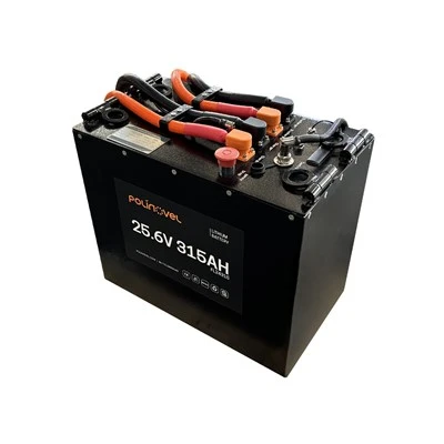 24V 315AH 팔레트 잭 리튬 배터리
